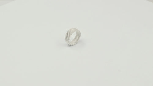 Dominion Band Ring Zilver